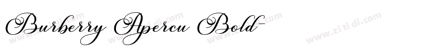 Burberry Apercu Bold字体转换